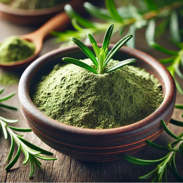 Rosemary Powder - 50g | روزمیری پاؤڈر