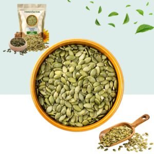 Pumpkin Seed | Pumpkin Seeds | Pumpkin Seeds Benefits