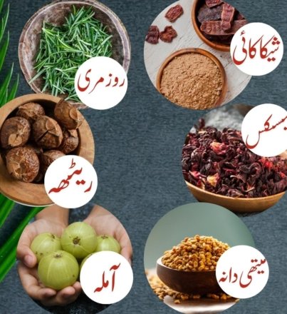 Single-Products-Website-18-1.jpg
