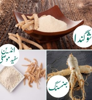 Single-Products-Website-21-1.jpg