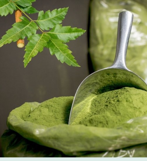 Single-Products-Website-29.jpg