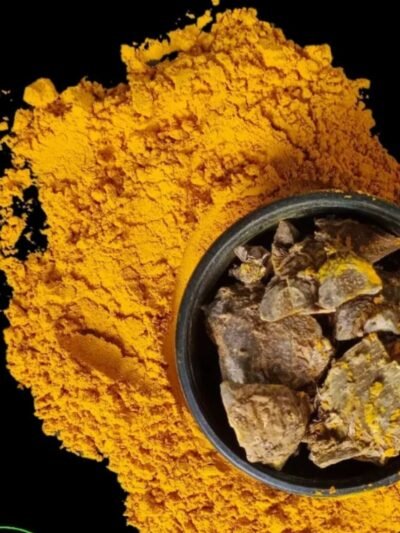 Wild Turmeric - Herbofactor