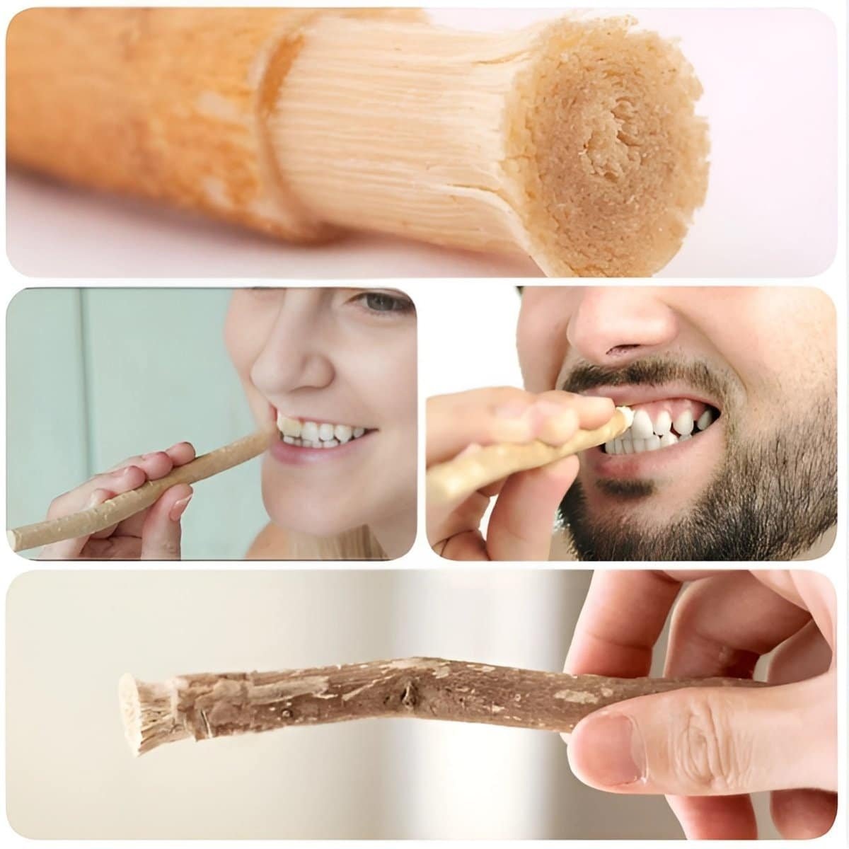 Miswak Organic | مسواک