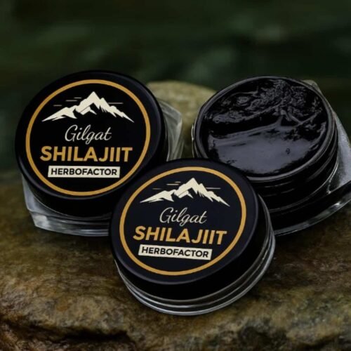 Gilgit Shilajeet – 15g | گلگت شلاجیت